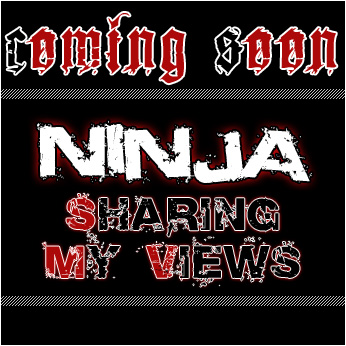 Ninja - Sharing My Views artwork by Ninja